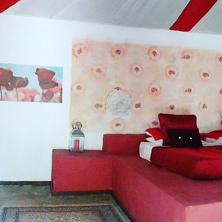 Gecko Nature Lodge Home Of Swahili Divers The Best Dive Center And Famous Gecko Restaurant Verani Exteriér fotografie