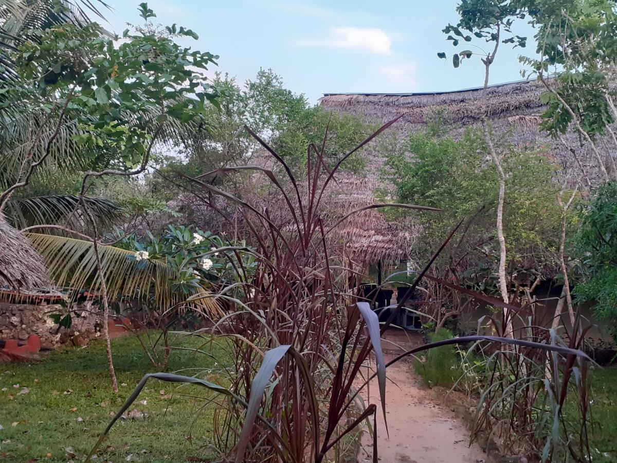 Gecko Nature Lodge Home Of Swahili Divers The Best Dive Center And Famous Gecko Restaurant Verani Exteriér fotografie