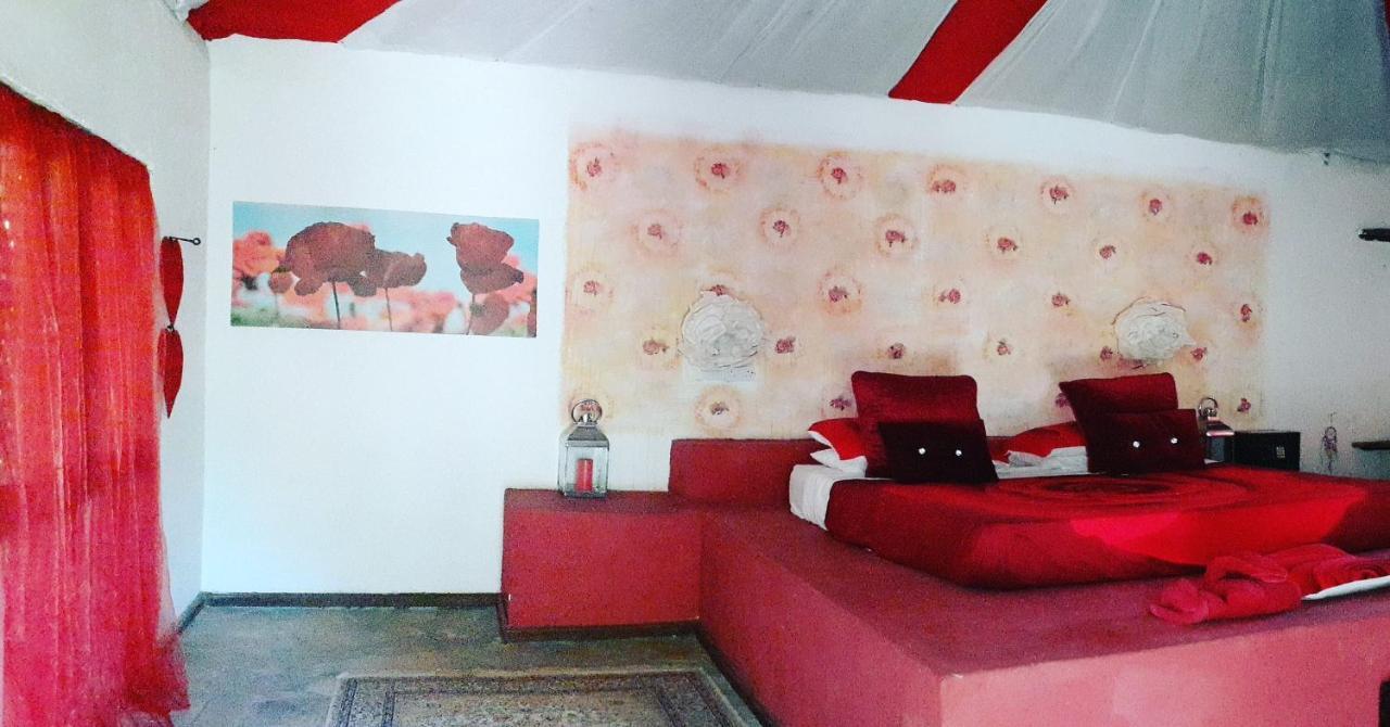 Gecko Nature Lodge Home Of Swahili Divers The Best Dive Center And Famous Gecko Restaurant Verani Exteriér fotografie