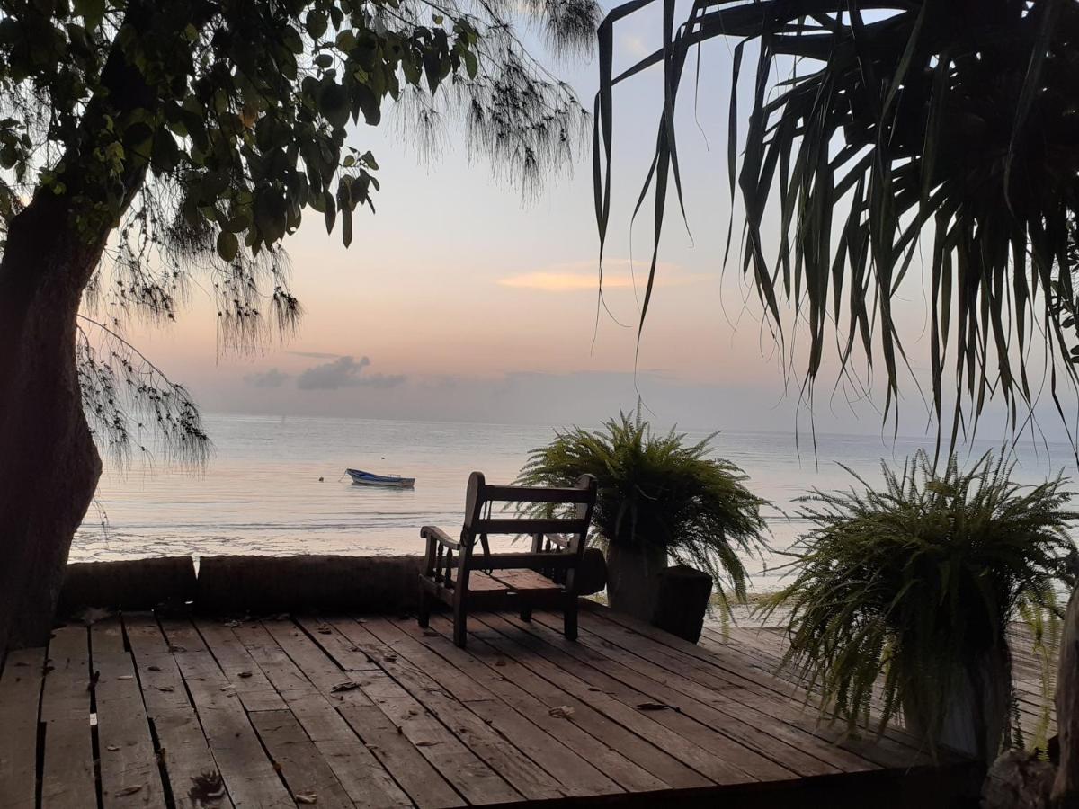 Gecko Nature Lodge Home Of Swahili Divers The Best Dive Center And Famous Gecko Restaurant Verani Exteriér fotografie