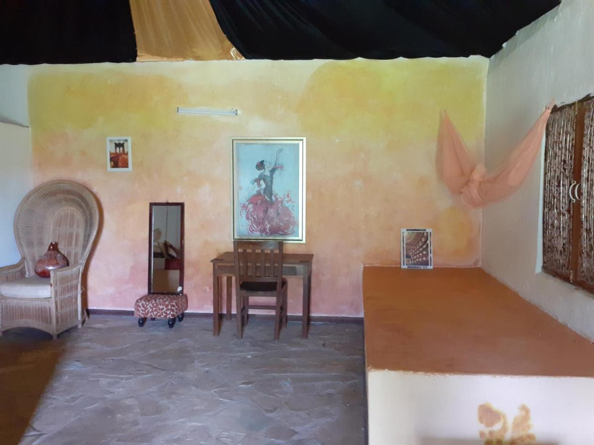 Gecko Nature Lodge Home Of Swahili Divers The Best Dive Center And Famous Gecko Restaurant Verani Exteriér fotografie