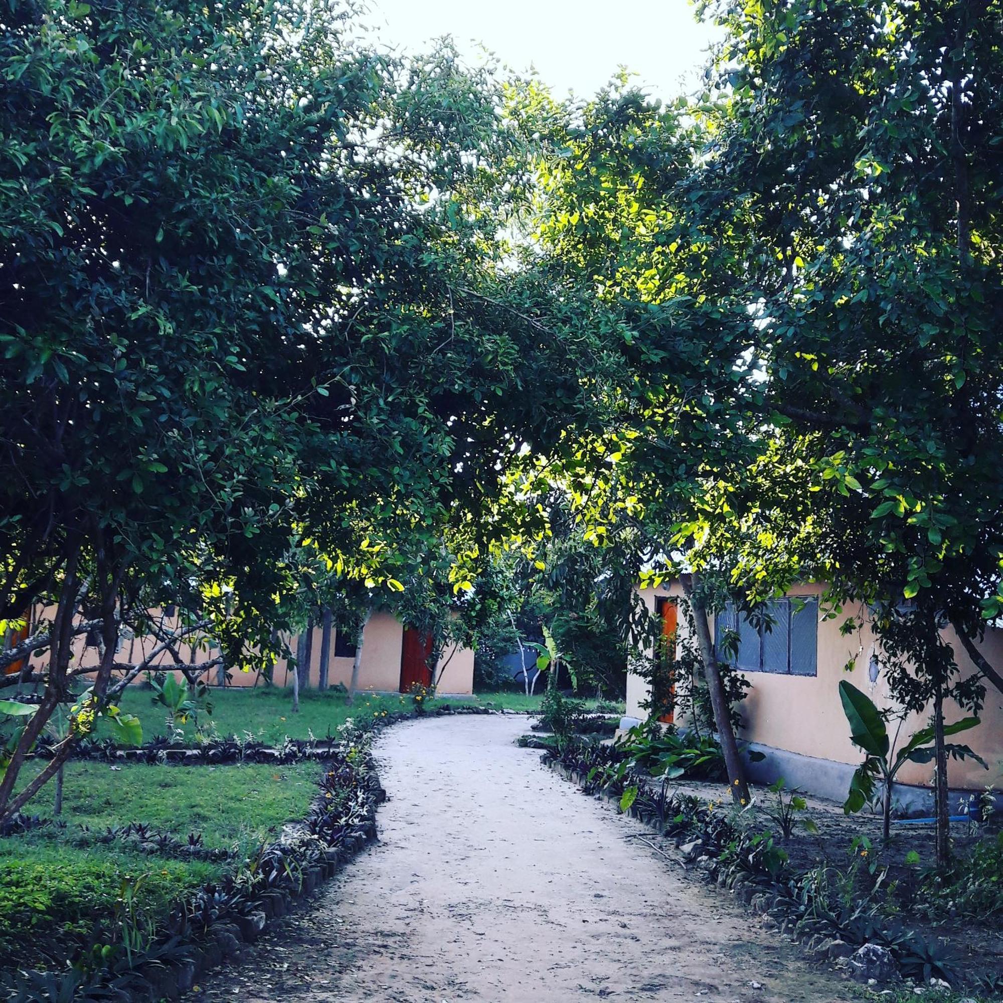 Gecko Nature Lodge Home Of Swahili Divers The Best Dive Center And Famous Gecko Restaurant Verani Exteriér fotografie