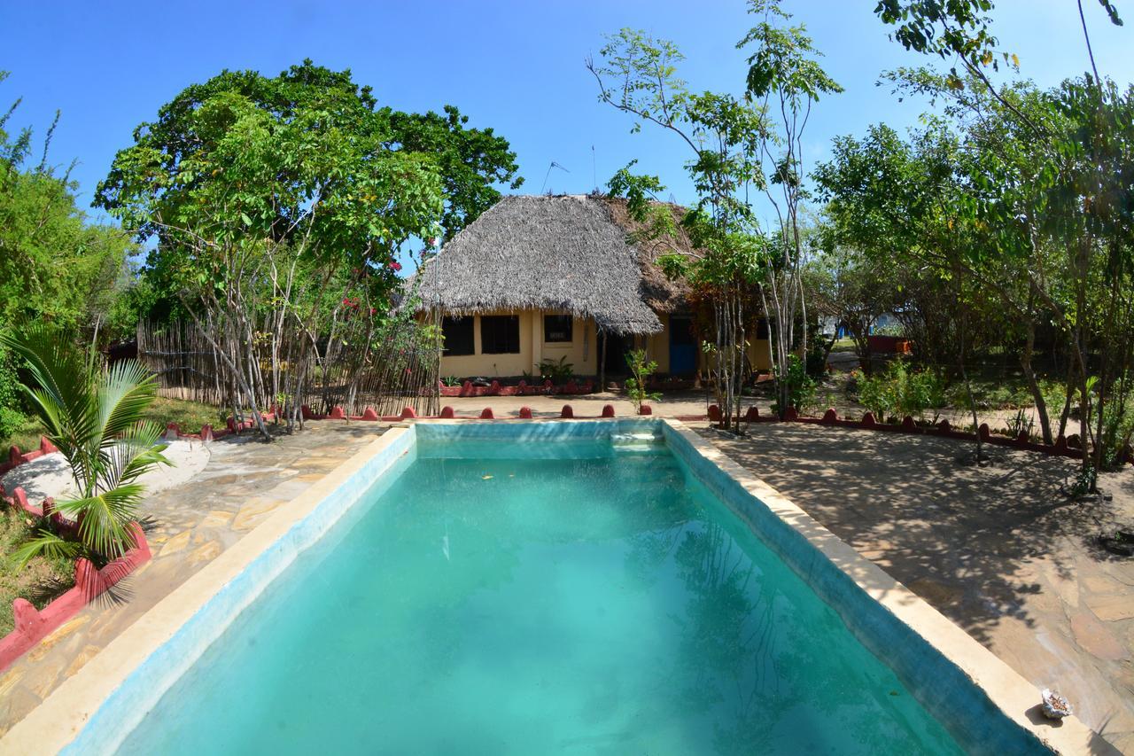 Gecko Nature Lodge Home Of Swahili Divers The Best Dive Center And Famous Gecko Restaurant Verani Exteriér fotografie