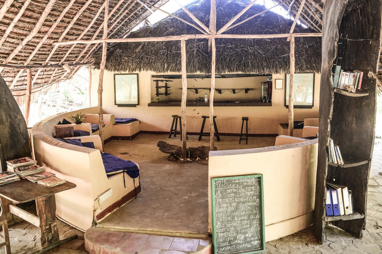 Gecko Nature Lodge Home Of Swahili Divers The Best Dive Center And Famous Gecko Restaurant Verani Exteriér fotografie