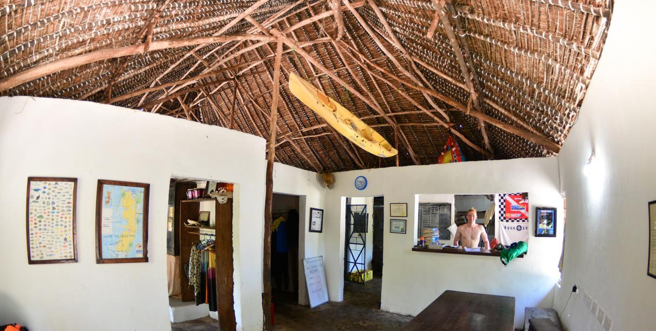 Gecko Nature Lodge Home Of Swahili Divers The Best Dive Center And Famous Gecko Restaurant Verani Exteriér fotografie