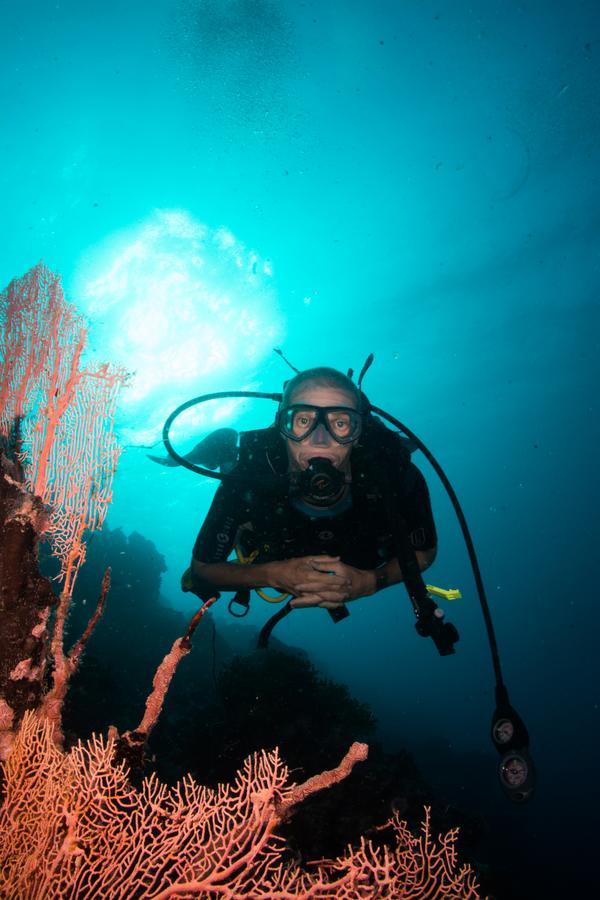 Gecko Nature Lodge Home Of Swahili Divers The Best Dive Center And Famous Gecko Restaurant Verani Exteriér fotografie
