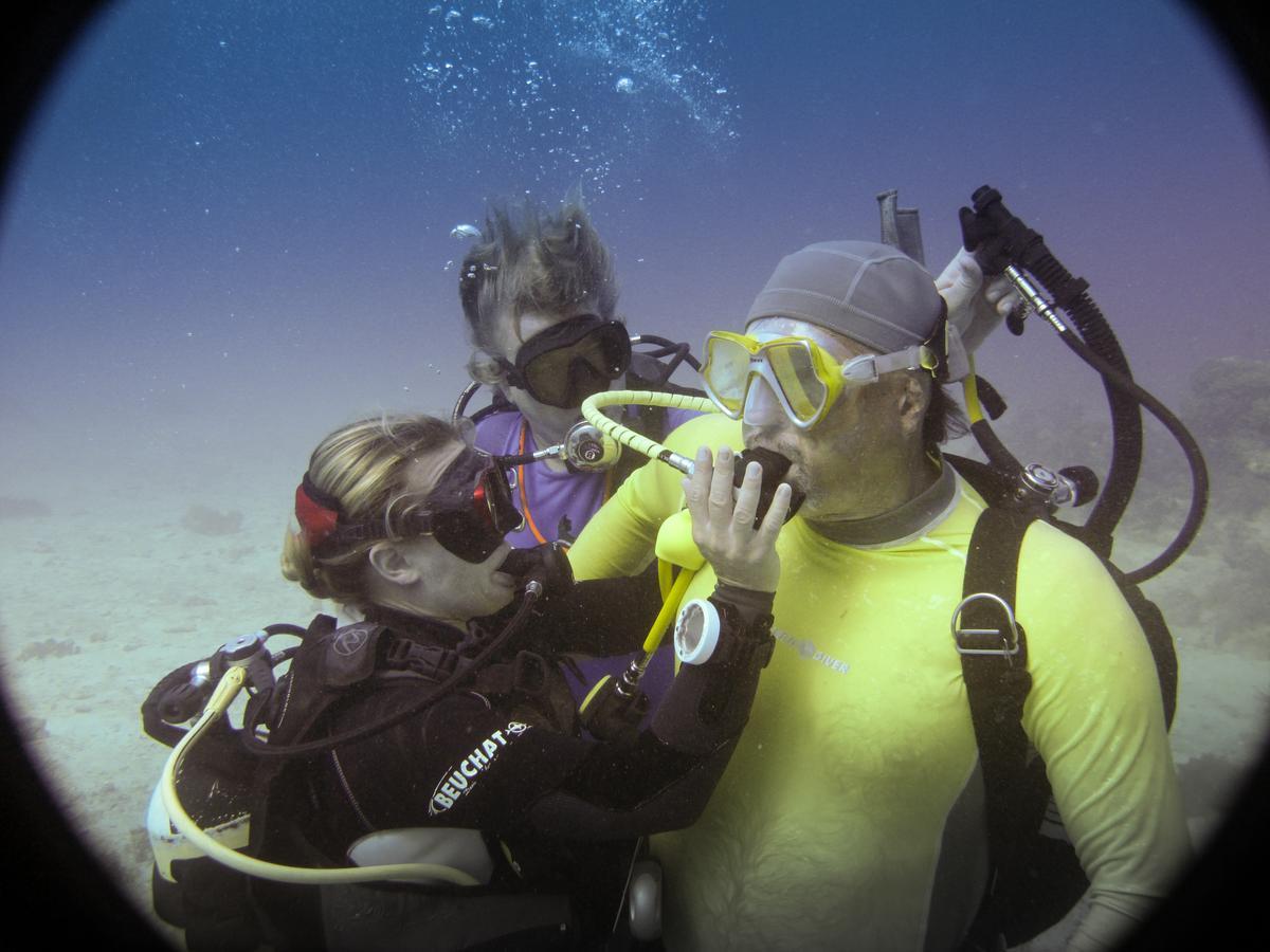 Gecko Nature Lodge Home Of Swahili Divers The Best Dive Center And Famous Gecko Restaurant Verani Exteriér fotografie