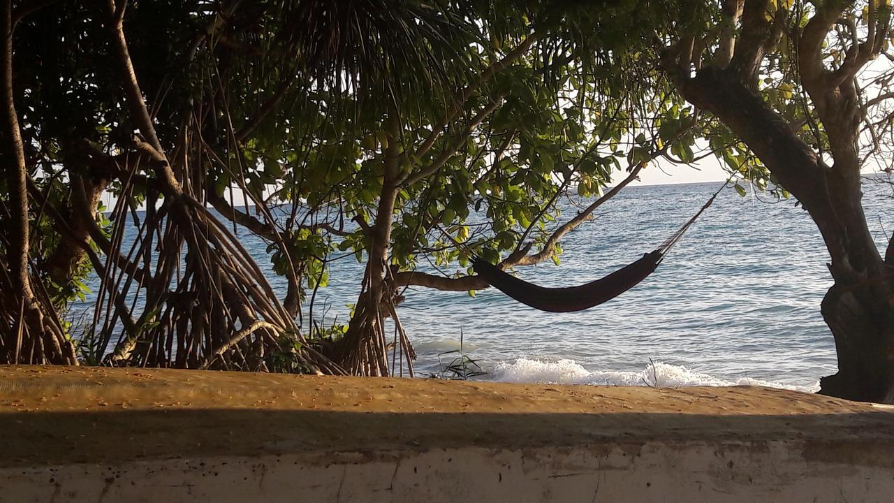 Gecko Nature Lodge Home Of Swahili Divers The Best Dive Center And Famous Gecko Restaurant Verani Exteriér fotografie