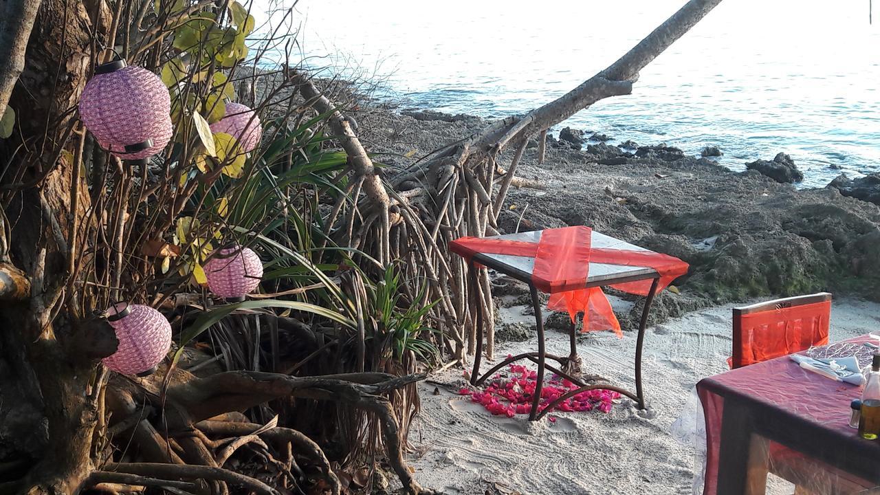 Gecko Nature Lodge Home Of Swahili Divers The Best Dive Center And Famous Gecko Restaurant Verani Exteriér fotografie