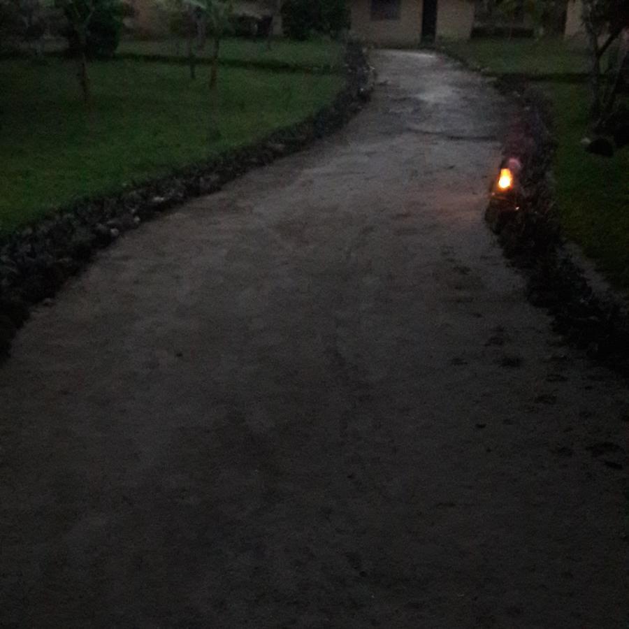 Gecko Nature Lodge Home Of Swahili Divers The Best Dive Center And Famous Gecko Restaurant Verani Exteriér fotografie