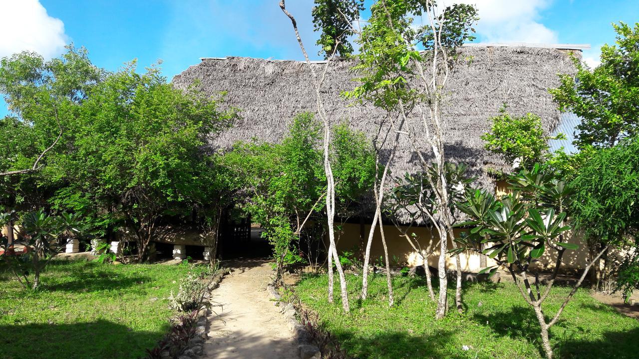 Gecko Nature Lodge Home Of Swahili Divers The Best Dive Center And Famous Gecko Restaurant Verani Exteriér fotografie