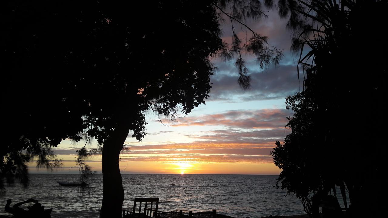 Gecko Nature Lodge Home Of Swahili Divers The Best Dive Center And Famous Gecko Restaurant Verani Exteriér fotografie